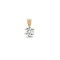 18ct Yellow Gold 25pt 6 Claw Natural Diamond Solitaire Pendant