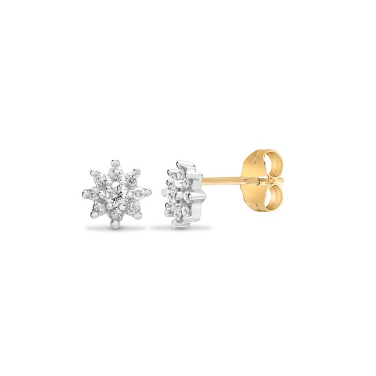 9ct yellow gold 25pt claw set cluster Natural Diamond stud earrings.