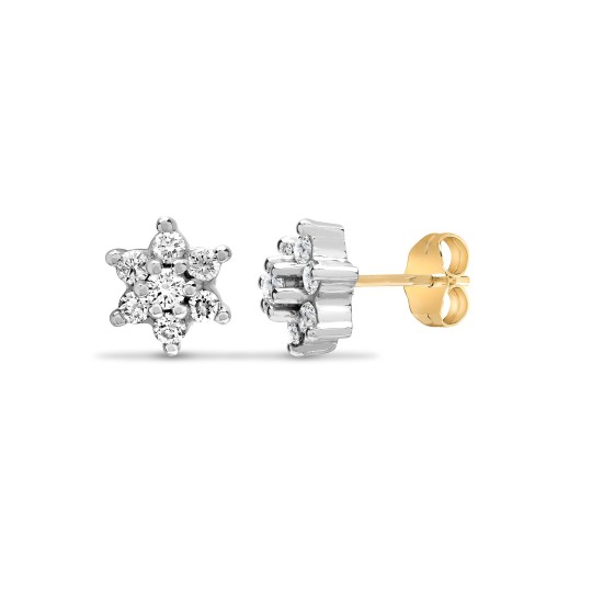 9ct yellow gold 50pt claw set cluster Natural Diamond stud earrings.