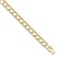 9ct Gold Cast Lizard & Polished Curb Chain