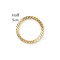 9ct Yellow Gold Half Sovereign Bezel