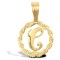 9ct Yellow Gold Rope initial Pendant