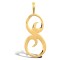 9ct Yellow Gold Polished Script Initial Pendant