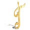 9ct Yellow Gold Polished Script Initial Pendant