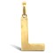 9ct Yellow Gold Plain Initial Pendant