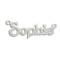 9ct White Gold Personalised Nameplate