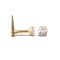 9ct Yellow Gold Nose Stud