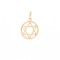 9ct Yellow Gold Star Of David Pendant
