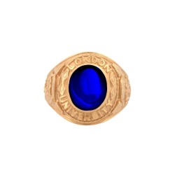 9ct Yellow Gold College Ring