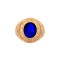 9ct Yellow Gold College Ring