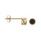 9ct Yellow Rub-over Set Sapphire Stud Earrings