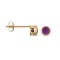 9ct Yellow Rub-over Set Amethyst Stud Earrings