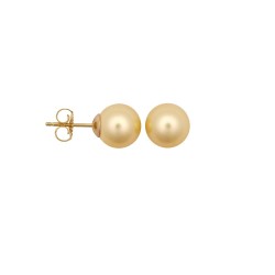 8-8.5mm premium quality cream cultured pearl Stud Earrings with a 9ct yellow gold post and butterfly fitting.