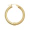 9ct Yellow Polished & Mesh Hoop Earrings