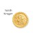 9ct Gold George & Dragon 10th Kruger Size Insert