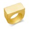 9ct Yellow Gold Initial Blank Ring