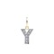 9ct Yellow Gold Cubic Zirconia Initial Pendant