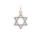 9ct Yellow Gold CZ set Star Of David Pendant