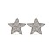 925 Silver Rhodium Plated CZ Set Star Stud Earrings