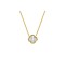 925 Silver 14ct Gold Plated MOP Clover Necklace