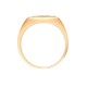 9ct Yellow Gold Natural Diamond Ring