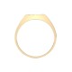 9ct Yellow Gold Gents Natural Diamond Ring