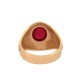 9ct Yellow Gold College Ring