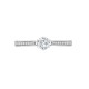 18ct White Gold 0.24ct Natural Diamond Pave set 6-claw Ring Mount- Holds 0.25ct