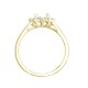 18ct Yellow Gold 0.35ct Natural Diamond Claw-set Cluster Halo Oval Ring - Holds 7x5mm