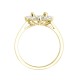 18ct Yellow Gold 0.62ct Natural Diamond Claw-set Cluster Halo Oval Ring - Holds 8x6mm