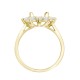 18ct Yellow Gold 0.96ct Natural Diamond Claw-set Cluster Halo Oval Ring - Holds 9x7mm