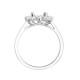 18ct White Gold 0.62ct Natural Diamond Claw-set Cluster Halo Oval Ring - Holds 8x6mm