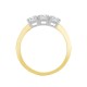 9ct Yellow/White 1.50ct Natural Diamond Claw Set Trilogy Ring
