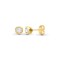 18E009-020 | 18ct Yellow Gold 20pts Rub over Earrings