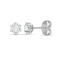 18E360-035 | 18ct White Gold 35pt 6 Claw Dia Soli Stud Earring