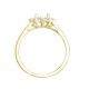 18M987-7x5-I | 18ct Yellow Gold 0.35ct Diamond Claw-set Cluster Halo Oval Ring  - Holds 7x5mm