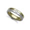 18W046-5 | 18ct Gold 2 Colour Diamond Rubover set Wedding Ring