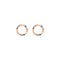 9E220 | 9ct Yellow Gold 0.47ct Rainbow Saph Circle Earrings