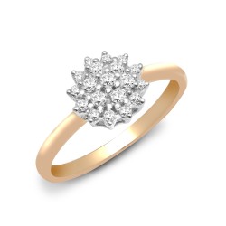 9R490-K | 9ct Yellow Gold Diamond Cluster Ring