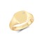 9R654 | 9ct Yellow Gold 0.03cts Diamonds Flush-set Cushion Signet Ring