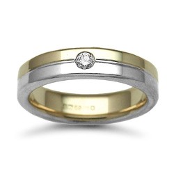 9W046-5 | 9ct Gold 2 Colour Diamond Rubover set Wedding Ring