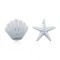 AES162 | 925 Silver Shell Stud Earrings