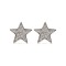 AES179 | 925 Silver Rhodium Plated CZ Set Star Studs