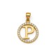 925 Sterling Silver 14k Gold Plated CZ Letter P Pendant Set