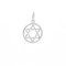 APD168 | 925 Sterling Silver Circle Star Of David Pendant
