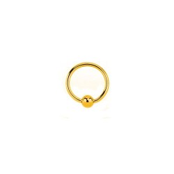 JBJ127 | 9ct Yellow 10mm Ball Closure Ring (Eyebrow, Ear & Nipple)