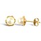 JES342 | 9ct Yellow Gold Pearl Stud Earrings