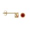 JES358 | 9ct Yellow Rub-over Set Garnet Stud Earrings