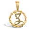 JIN001-Z | 9ct Yellow Gold Rope initial Pendant