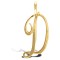 JIN002-D | 9ct Yellow Gold Polished Script Initial Pendant